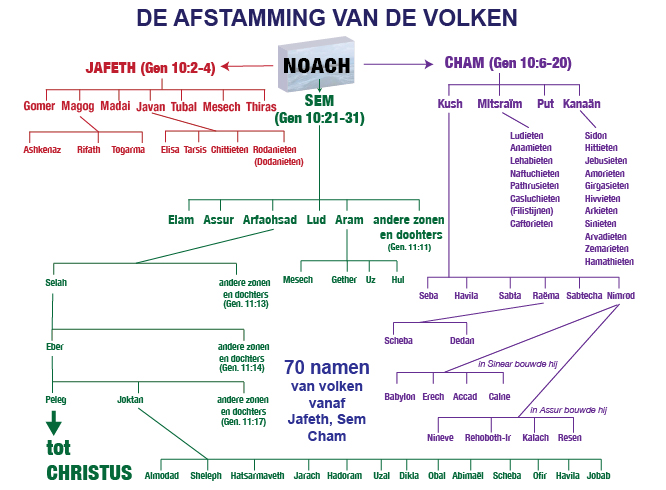 genealogicaltreenations-nl-01.jpg